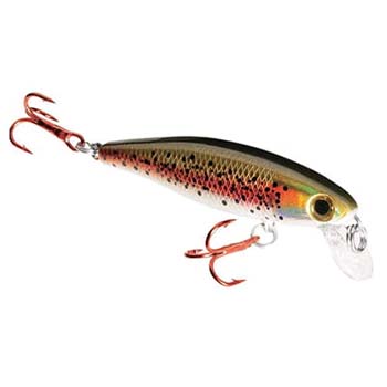 Dynamic Lures Trout Lure